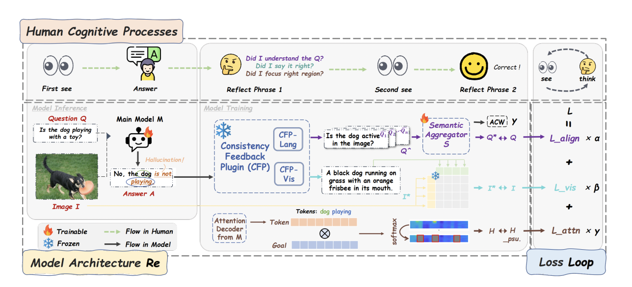 ReLoop: 'Seeing Twice and Thinking Backwards' via Closed-loop Training to Mitigate Hallucinations in Multimodal Understanding